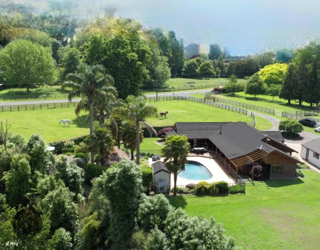 Palms On Bruntwood Guest house Tamahere